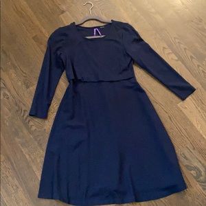 Seraphine Maternity and Nursing Dress